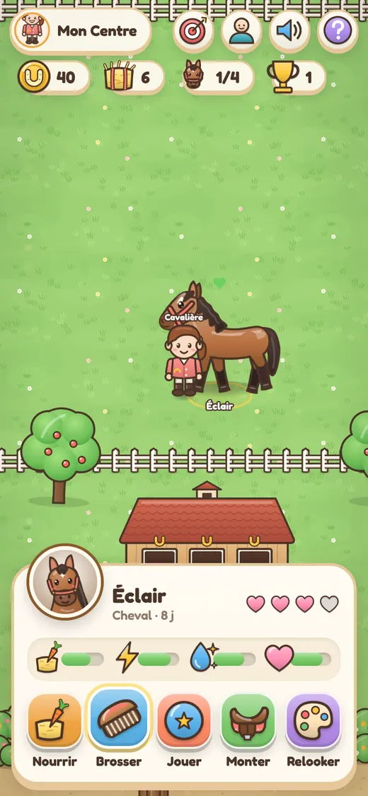 Caring for a horse